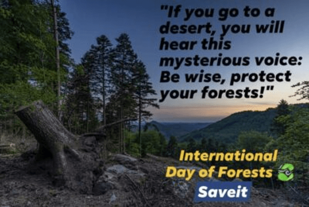 Role of Forests and Importance of Trees